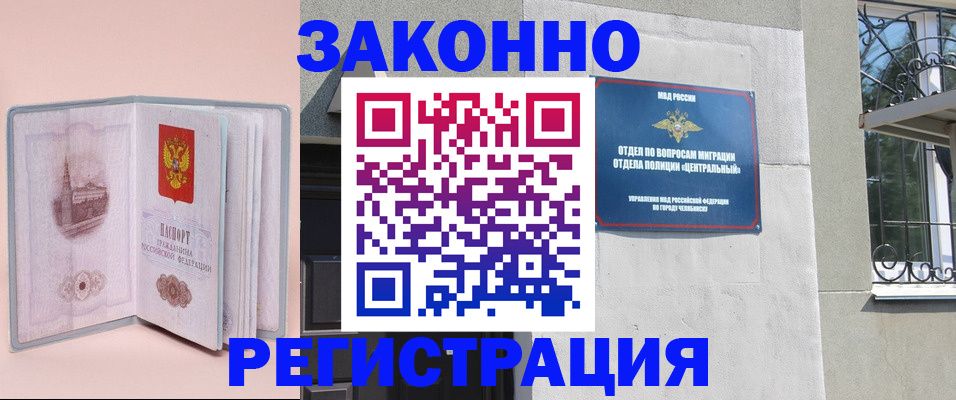 где прописаться в Коле